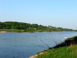 Angler an der Weser