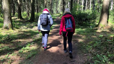 Zwei Wanderer gehen durch einen Wald