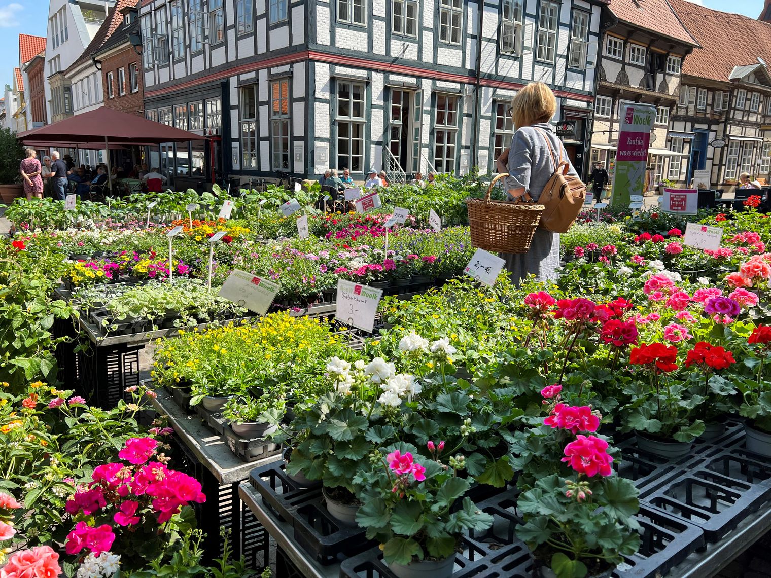 Blumen auf dem Nienburger Wochenmarkt